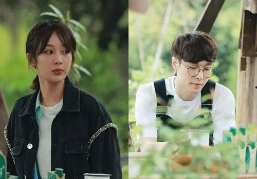 娱乐博主吃瓜,吃瓜博主带你探秘明星幕后故事