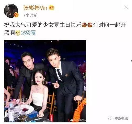 娱乐圈老板吃瓜视频下载,吃瓜视频背后的真相与幕后故事