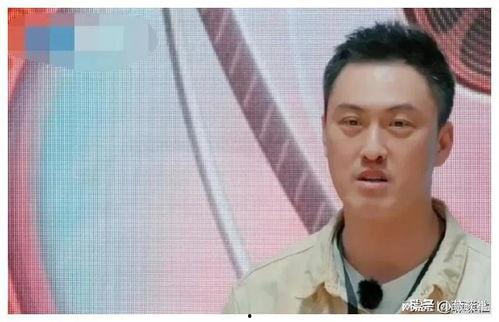 娱乐圈吃瓜爆料男生小说,揭秘明星背后的秘密与爱情纠葛